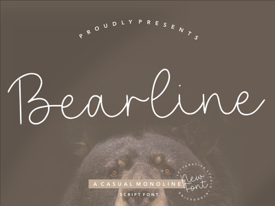 Bearline 是一种休闲的 Monoline Script 字体(Bearline is a Casual Monoline Script Font)