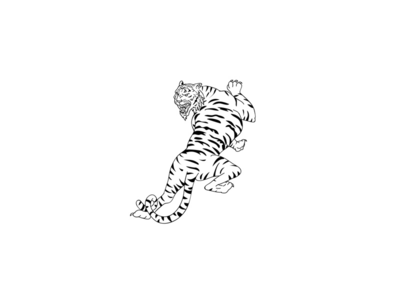 孟加拉虎跟踪绘图(Bengal Tiger Stalking Drawing)