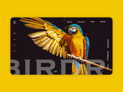 Birdr 网页(Birdr Web Page)