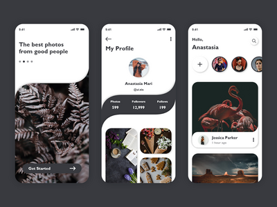 最佳照片(Best Photos)