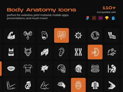 身体解剖线图标包(Body Anatomy Line Icons Pack)