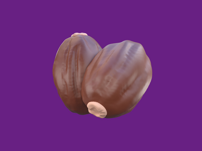 3D 渲染斋月图标干枣椰果(3D Rendering Ramadan Icon Dried date palm fruits)