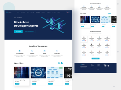 加密登陆页面（开发者页面）(Crypto Landing page ( Developers page ))