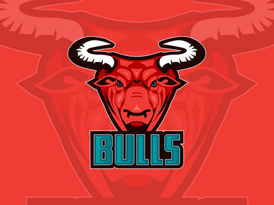 公牛队标志(Bulls Logo)