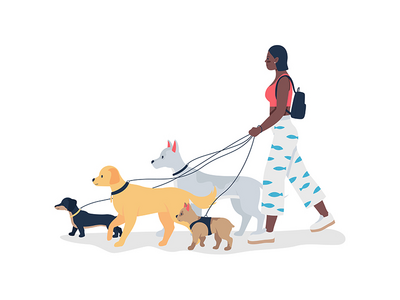 非洲裔美国女孩用皮带遛狗平面彩色矢量详细(African american girl walking dogs on leashes flat color vector detailed)