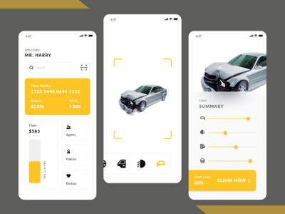 汽车政策 - iOS App UI Kit(Car policy - iOS App UI Kit)