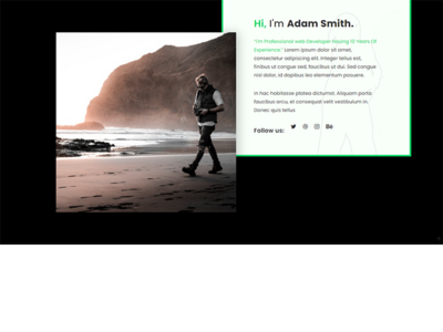 关于我们页面模板设计(About Us Page Template Design)