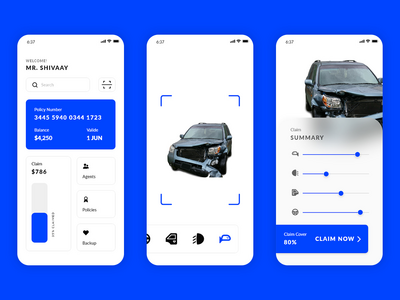 汽车政策(Car Policy)