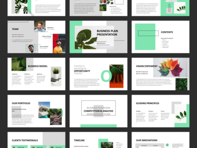 商业计划书演示模板(Business Plan Presentation Template)