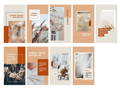 秋色社交媒体肖像模板(Autumn Color Social Media Portrait Template)