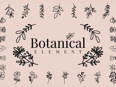 50 矢量线条艺术植物元素(50 Vector Line Art Botanical Elements)