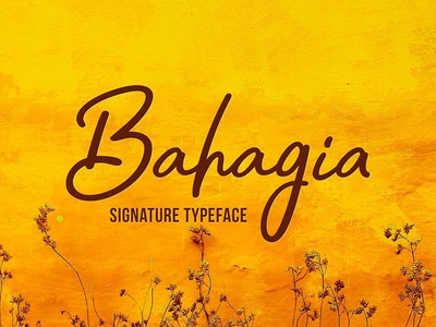 Bahagia 字体(Bahagia Font)