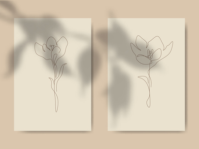 番红花(Crocus Flower)