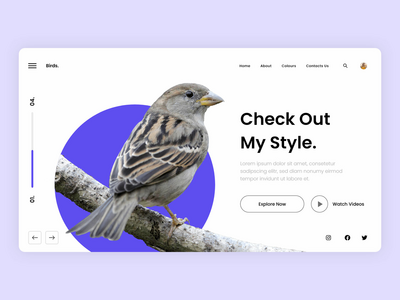 鸟类登陆页面(Birds Landing Page)
