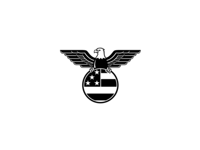 美国白头鹰展翅，手握美国国旗(American Bald Eagle with Wings Spread Clutching United States Flag)