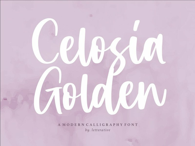 Celosia Golden 是一种现代书法字体(Celosia Golden is a Modern Calligraphy Font)