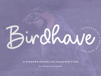 Birdhave 现代单线手写字体(Birdhave Modern Monoline Handwritten Font)