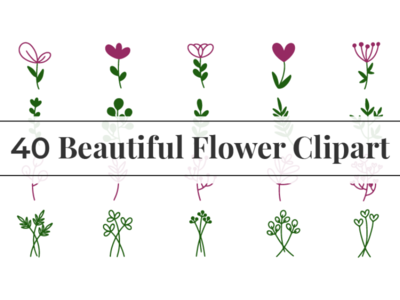 40 美丽的花剪贴画(40 Beautiful Flower Clipart)