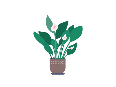 马蹄莲卡通矢量图(Calla cartoon vector illustration)