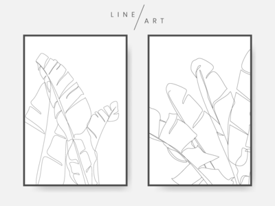 香蕉叶线条艺术(Banana leaves line art)