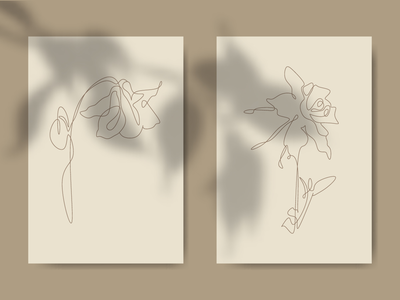 哥伦拜恩花(Columbine Flower)