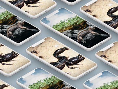 后台界面(Background UI)