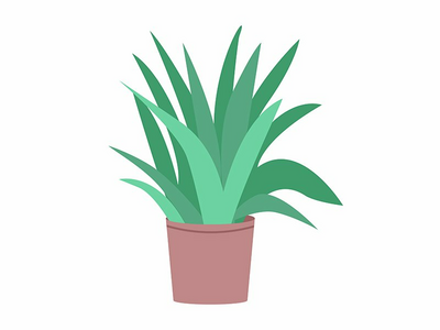 盆栽半扁平色矢量对象中的芦荟植物(Aloe vera plant in pot semi flat color vector object)
