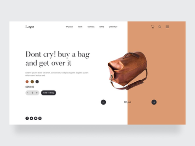 包袋购物登陆页面(Bag Shopping Landing Page)