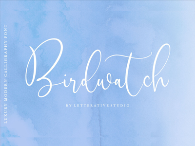 Birdwatch 是一种豪华的现代书法字体(Birdwatch is a Luxury Modern Calligraphy Font)