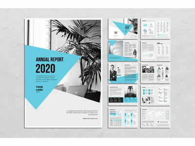 年报业务代理(Annual Report Business Agency)