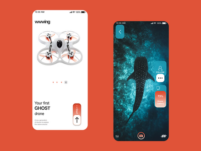 相机界面(Camera UI)