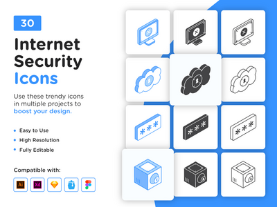 30 网络和互联网安全图标(30 Cyber And Internet Security Icons)