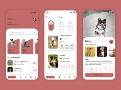 动物狗(Animals dog)