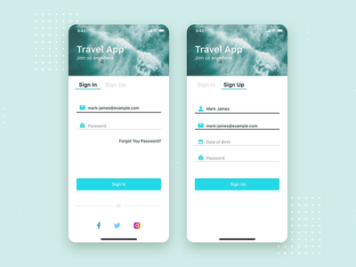 身份验证表单移动 UI 概念(Authentication Form mobile UI Concept)