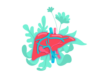 解剖肝平面概念矢量图解(Anatomical liver flat concept vector illustration)