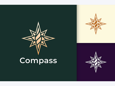 现代奢华风格的指南针标志(Compass Logo in Modern and Luxury Style)