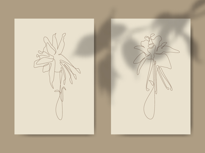 哥伦拜恩花(Columbine Flower)