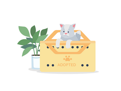 采用灰猫平面彩色矢量详细字符(Adopted grey cat flat color vector detailed character)