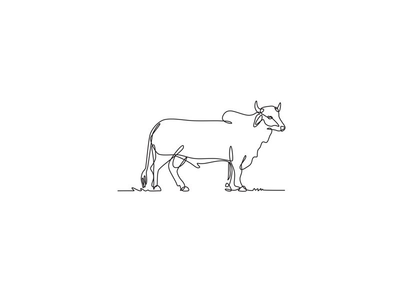 婆罗门公牛站立侧视图连续线画黑白(Brahman Bull Standing Side View Continuous Line Drawing Black and White)