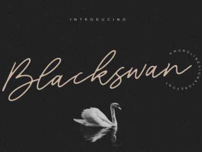 Blackswan Monoline Signature 字体(Blackswan Monoline Signature Font)