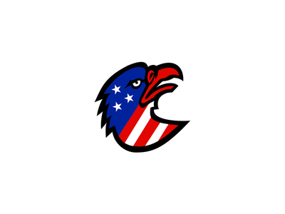 鹰吉祥物内的美国国旗(American Flag Inside Eagle Mascot)