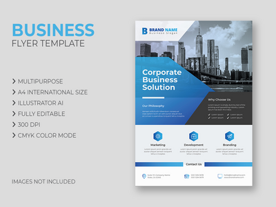 企业、商业、营销传单(Corporate, Business, Marketing Flyer)