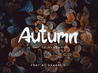 秋季显示字体(Autumn-Display-Font)