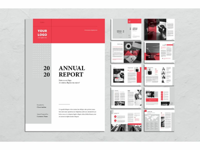 年报公司简介(Annual Report  Company Profile)