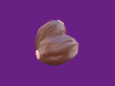 3D 渲染斋月图标干枣椰果(3D Rendering Ramadan Icon Dried date palm fruits)