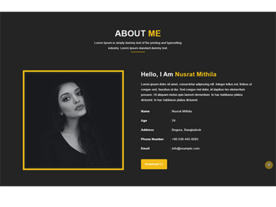 关于我们页面模板设计(About Us Page Template Design)