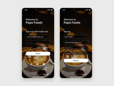 身份验证表单移动 UI 概念(Authentication Form mobile UI Concept)