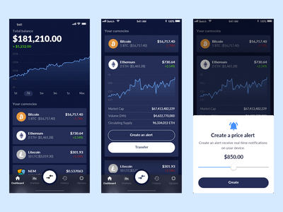 加密钱包应用(Crypto Wallet App)