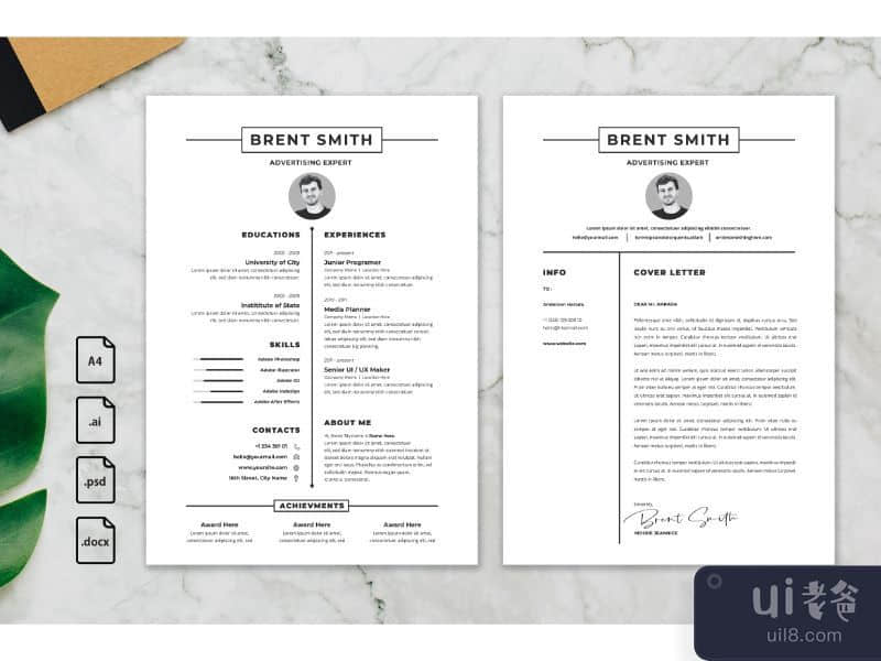 CV Resume Advertising Expert Profile