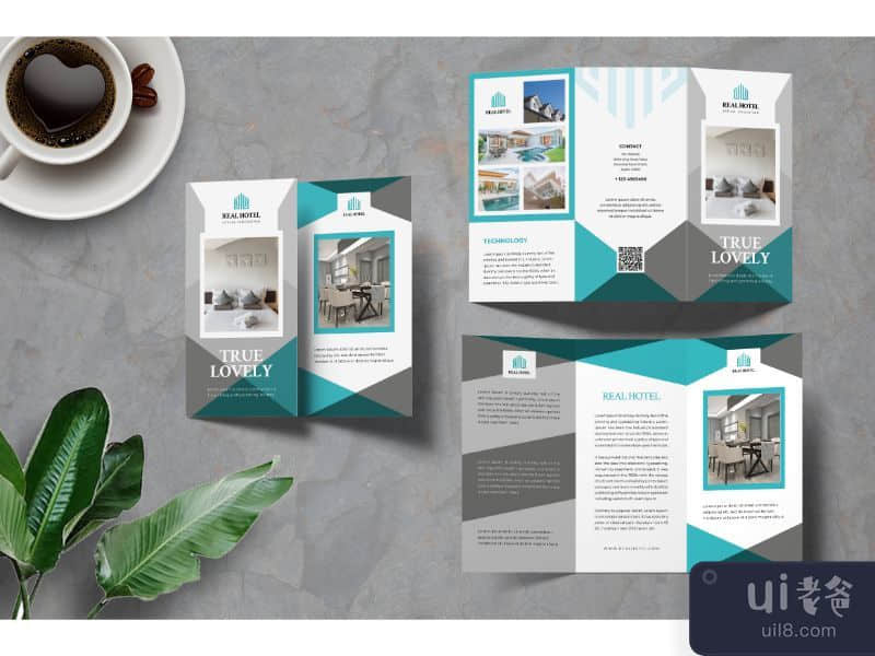 TriFold Brochure